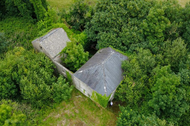 The Old Mill, Forgney, Ballymahon, Co. Longford