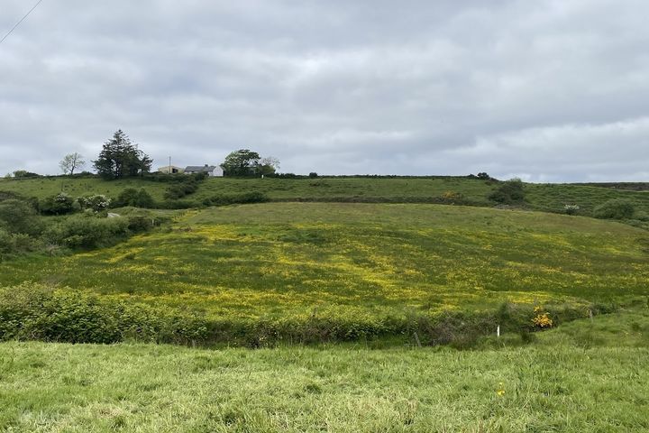 Dehomad, Lissycasey, Co. Clare
