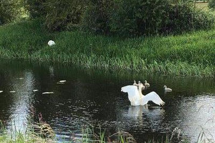 Canal Walk, Athlone, Co. Westmeath