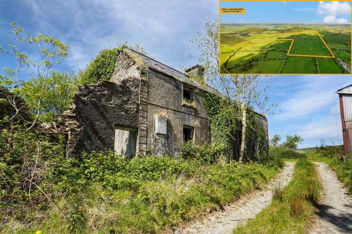 Losset, Moynalty, Co. Meath