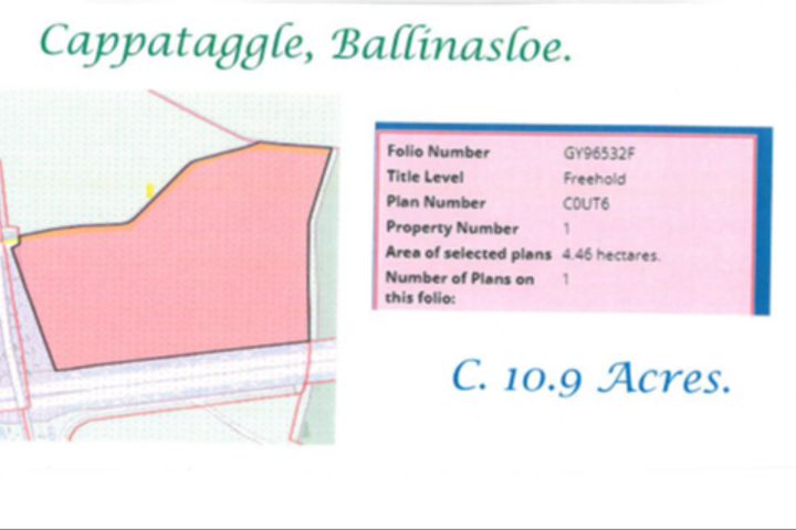 Cappataggle, Ballinasloe, Co. Galway