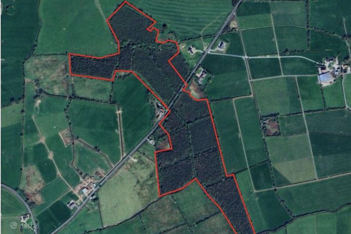 Ballynashig, Ballingarry , Ballingarry, Co. Limerick