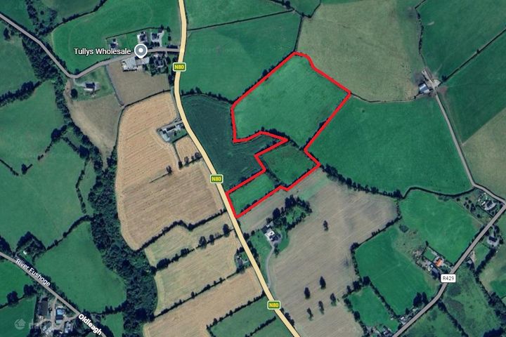 Rathillig, Ballickmoyler, Co. Laois