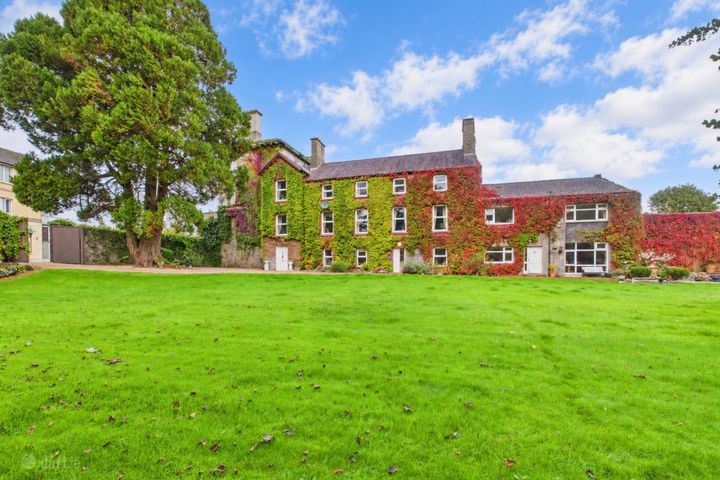 Rus In Urbe, Bridge Street, Ballinasloe, Co. Galway, H53X0P8