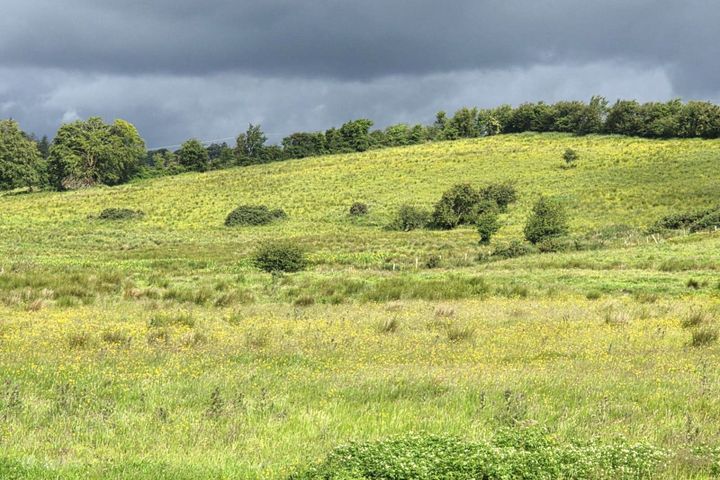 Cloonagashel and Ardrea, Ballymote, Co. Sligo