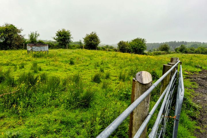 Liscottle, Swinford, Co. Mayo