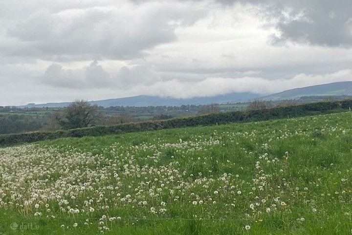 Site B at Ballyminane Mills, Enniscorthy, Co. Wexford