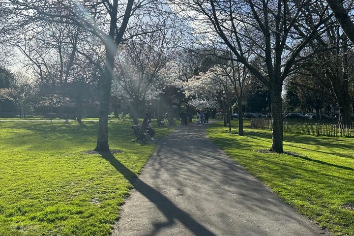 102 Oldtown Demesne, Naas, Naas, Co. Kildare