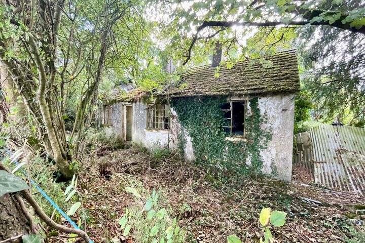 Ballyvergal, Palatine, Carlow, Co. Carlow