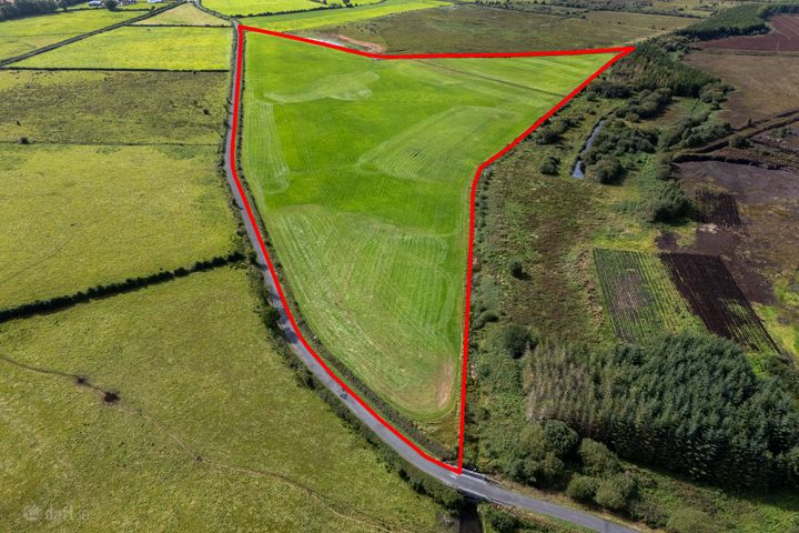 Lands of c. 25.50 Acres at Derryharney, Belmont, Co. Offaly