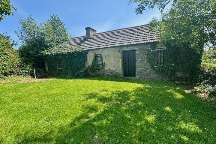 Drumharkan Glebe, Cloone, Corriga, Co. Leitrim, N41N224