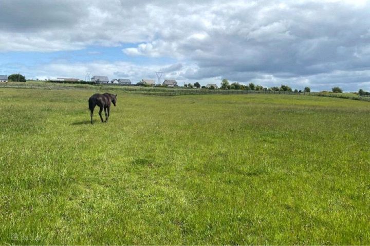 Mirah, Turloughmore, Co. Galway