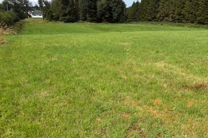 Griffinstown, Coralstown, Kinnegad, Co. Westmeath