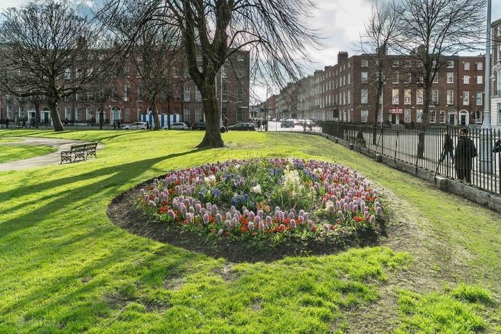 Apartment 3, 8 Mountjoy Square North, D01 KX92, Dublin 1