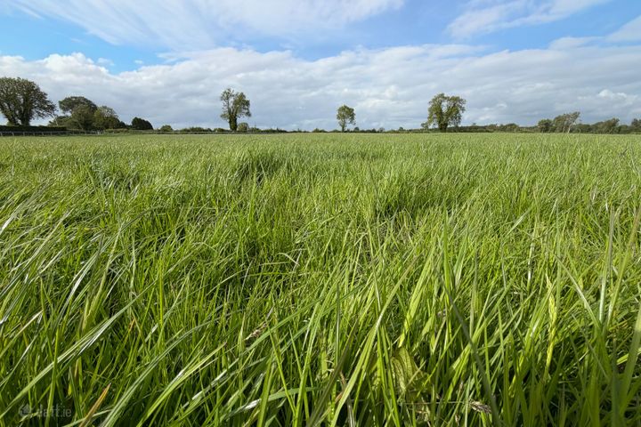 Churchquarter, Clonoulty, Cashel, Co. Tipperary