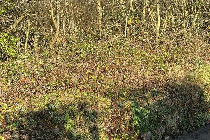 Ballynaboley, Kilmacow, Co. Kilkenny