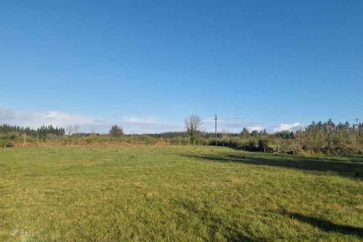 Trien, Castlerea, Co. Roscommon