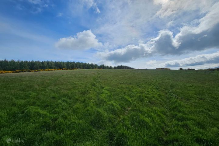 Slieveroe, Ballymore Eustace, Co. Kildare