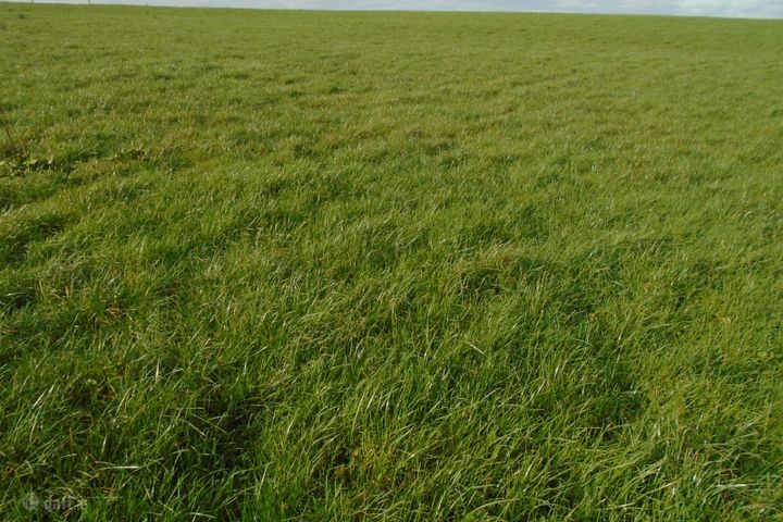 Kilmadum, Ballyfoyle, Ballyfoyle, Co. Kilkenny