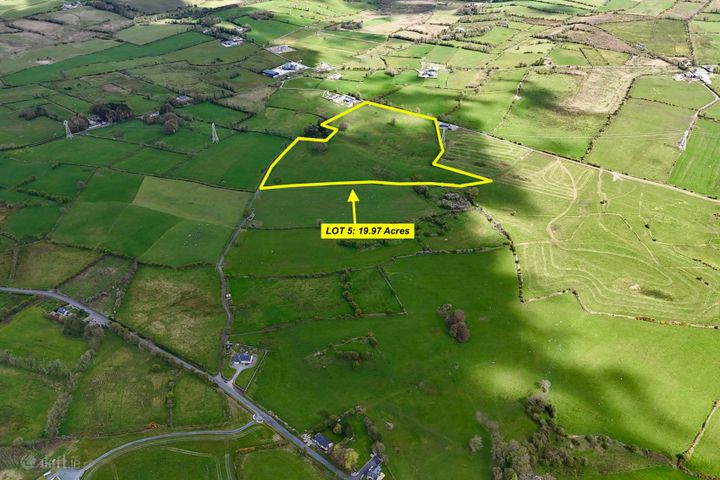 19.97 Acres (approx.) at Carton, Elphin, Co. Roscommon