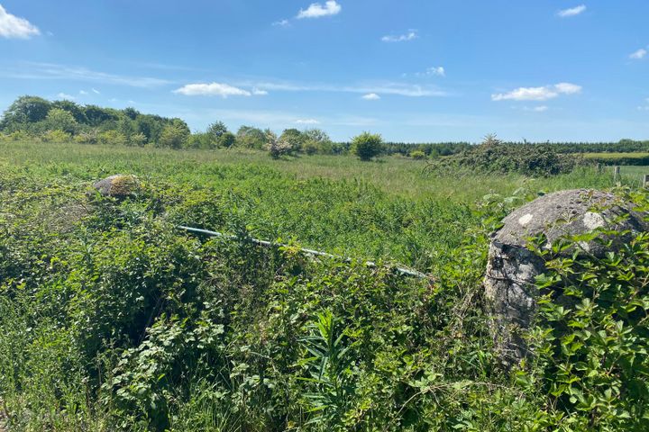 Swordlestown South, Naas, Co. Kildare