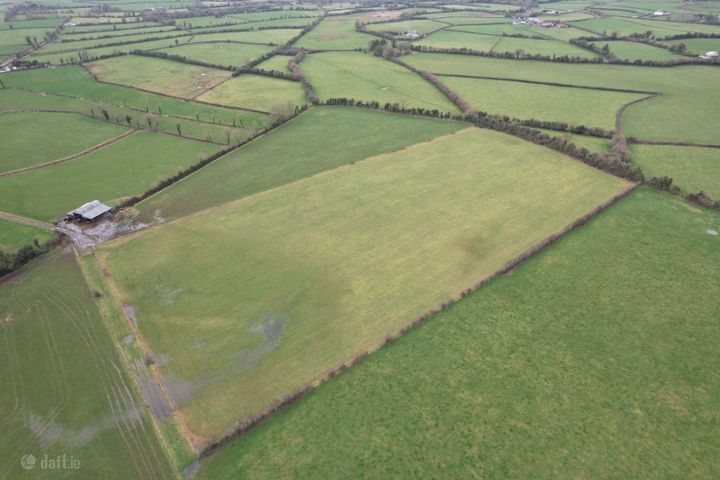 Rathnaleugh, Errill, Co. Laois
