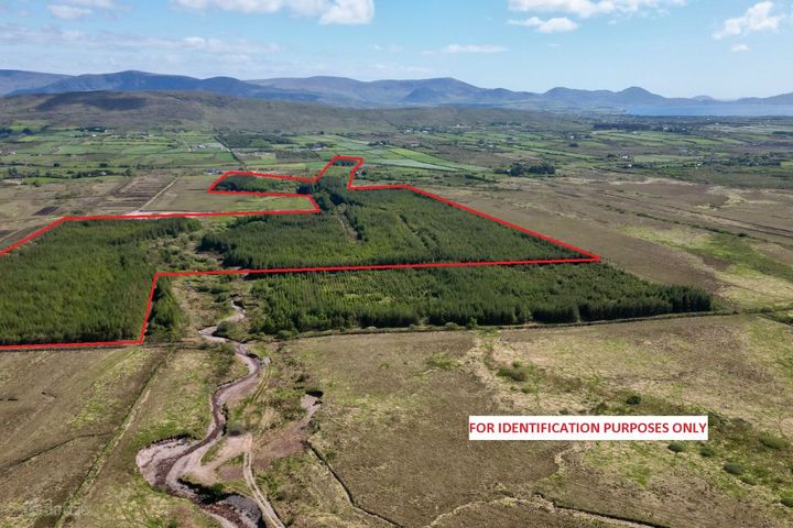 c. 81 Acres Forestry, Maulnahone, Cahersiveen, Co. Kerry