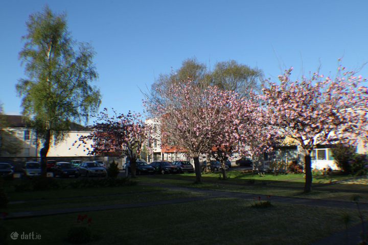 The Laurels, Terenure, Dublin 6