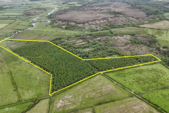 Treanboy, Ballymoe, Co. Roscommon