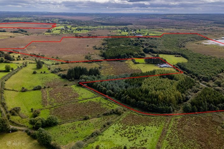 CIRCA 160-ACRE LANDHOLDING AT CLONTARSNA, Castlerea, Co. Roscommon