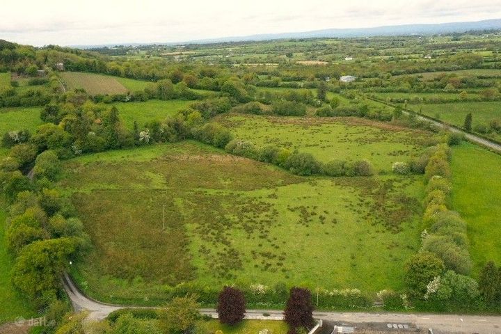 Boleybeg, Spink, Co. Laois