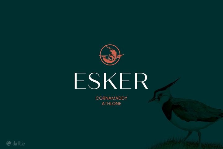 Esker, Cornamaddy, Athlone, Co. Westmeath, Athlone, Co. Westmeath