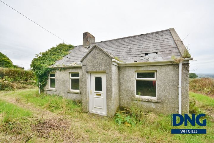 Laccamore, Kilflynn, Kilflynn, Co. Kerry, V92YA43