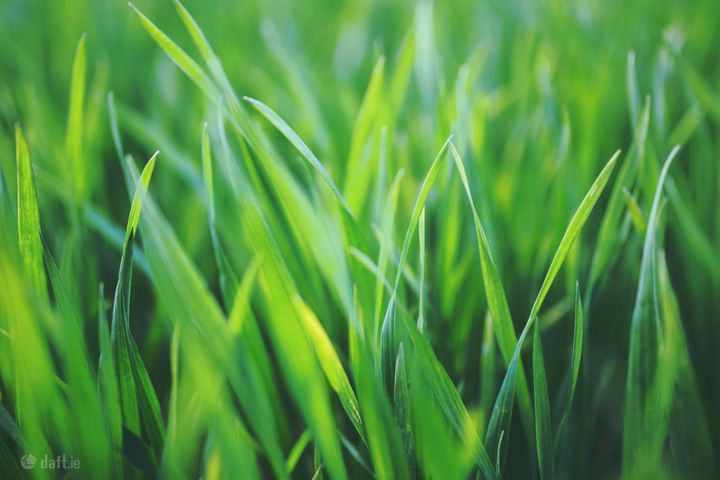 Circa 1 Acre Site, Old Parish, Co. Waterford