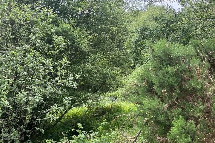 Monergan, Ardara, Co. Donegal