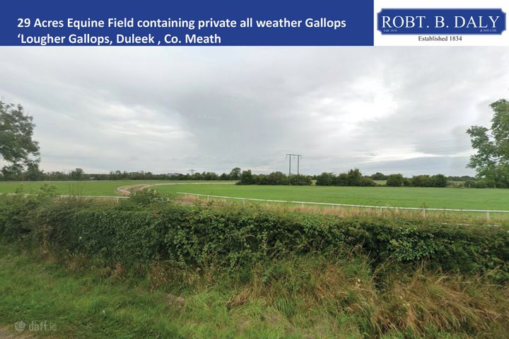 'Lougher Gallops', Lougher, Duleek, Co. Meath