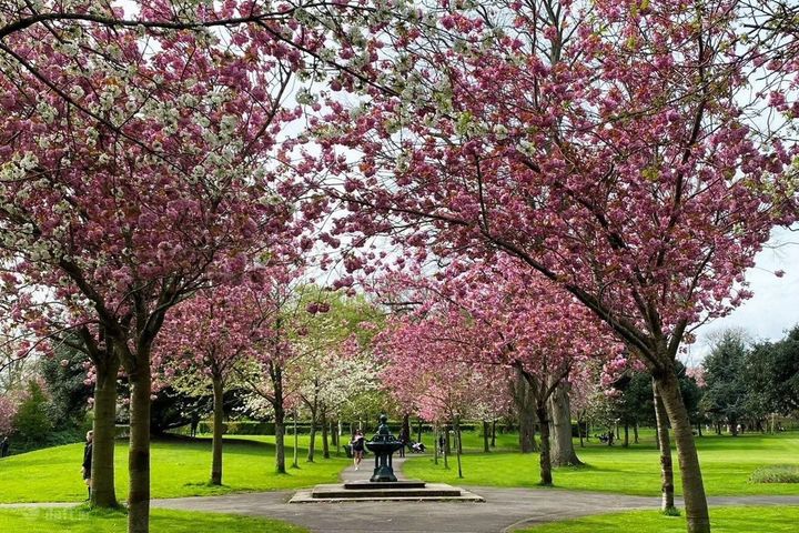 Apartment 80, The Oaks, Herbert Park Lane, Ballsbridge, Co. Dublin