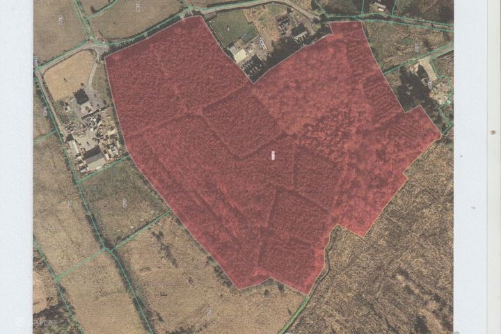 Castlebawn, Ballinalee, Co. Longford