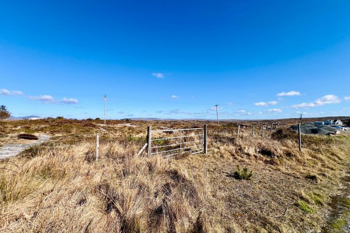 Bealadangan, Co Galway