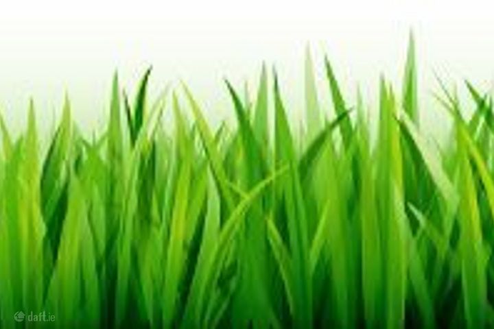 Ballyglass, Ballinagare, Castlerea, Co. Roscommon