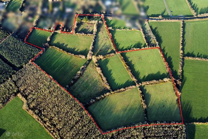 Premium c. 20.07 Acres Holding at Littletown, Tomhaggard, Co. Wexford