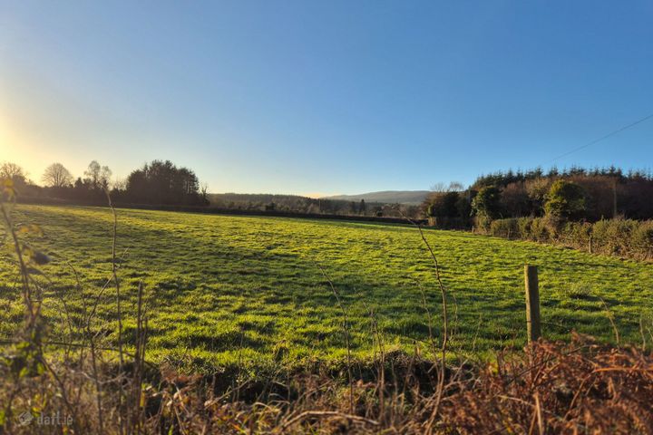 Catholes, Ballyhuppahane, Co. Laois