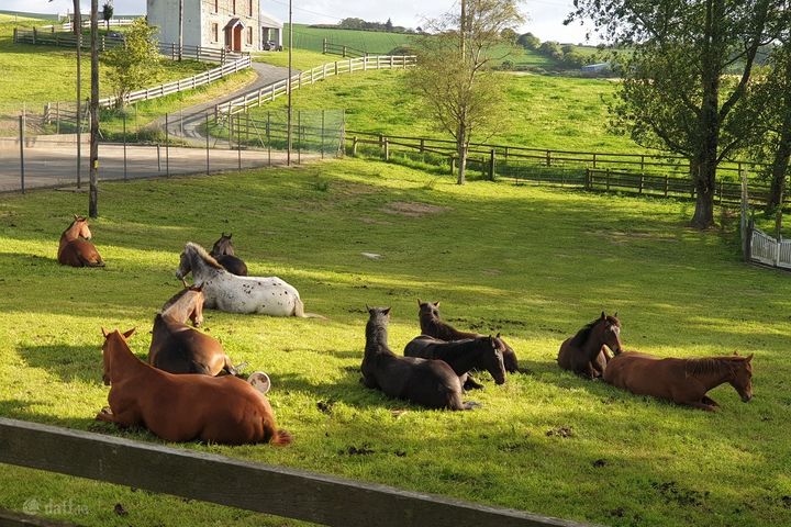 Stella Maris, Kilpoole HIll, Wicklow Town, Co. Wicklow