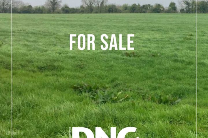 C.6 Acres at Boggan, Moynalty, Kells, Co. Meath