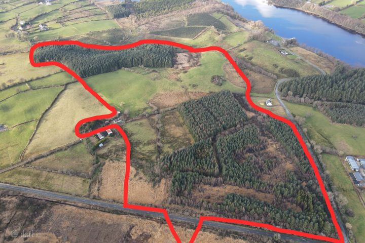 C.51.89 Acres at Derreenamackaun, Loughglynn, Carrowbehy, Co. Roscommon, F45P230