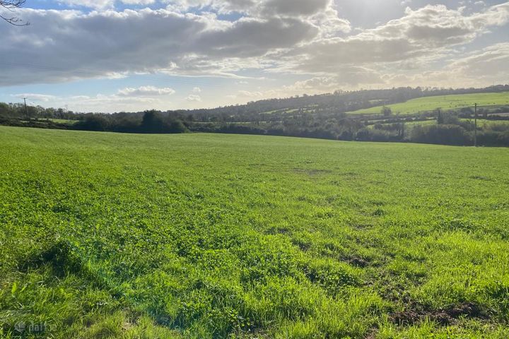 Ballinlaw, Slieverue, Co. Kilkenny