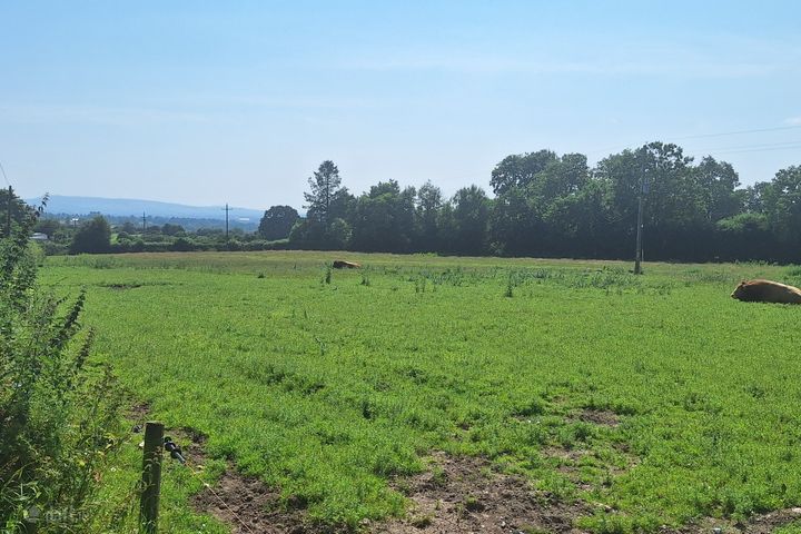 .75 Acre Site, Kilcarrig,, Bagenalstown,, Co. Carlow