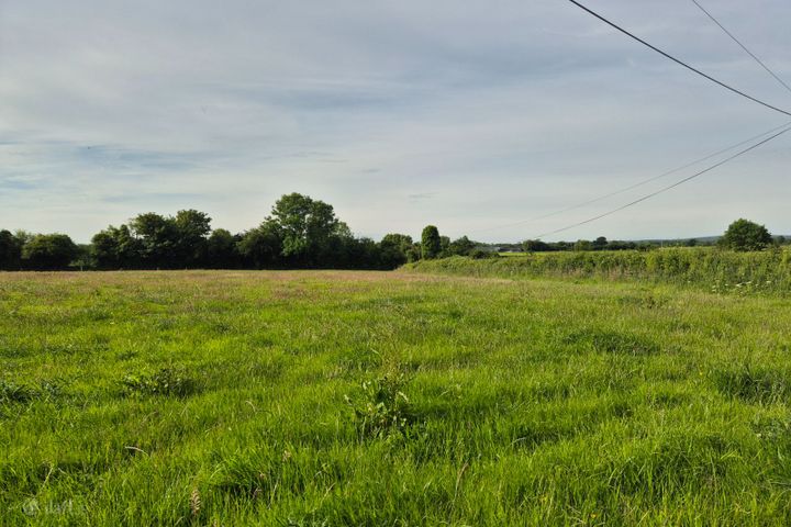 Rosenallis, Rosenallis, Co. Laois