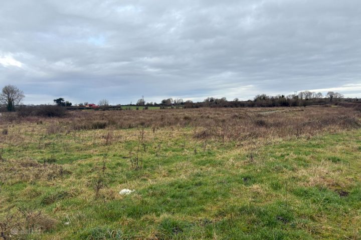 Ballyhomock, Cappagh, Co. Limerick - Photo 2