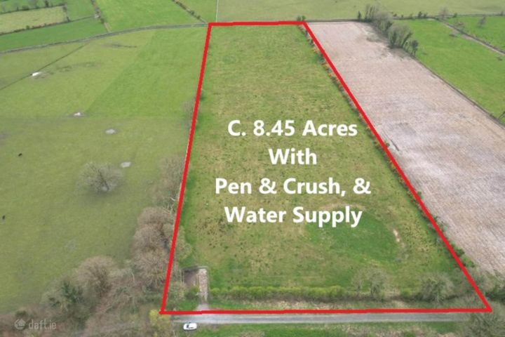 C. 8.45 Acres, Springfield, Williamstown, Co. Galway
